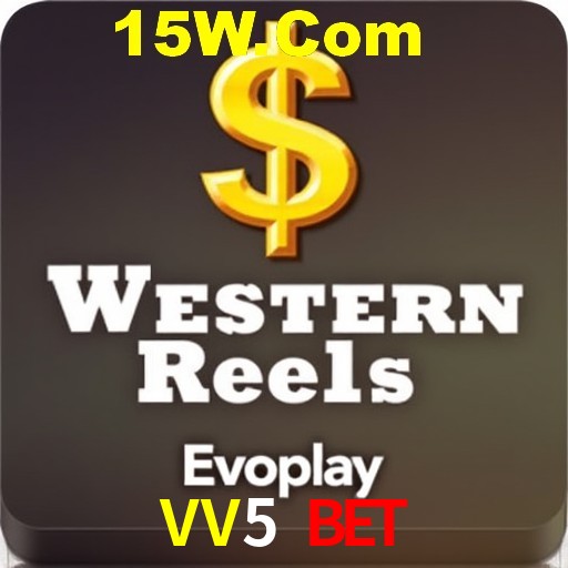 Security Systems VV5 Bet
